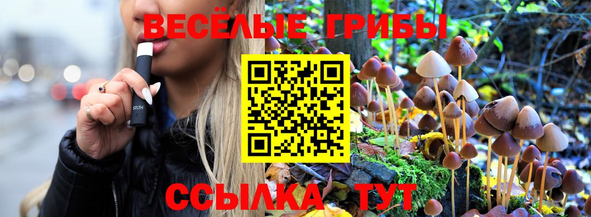 Златоуст  APVP СК кристаллы  ГАШ  Марихуана  Вход с VPN  Героин  Кокаин  Гашиш  МЕФ   МЕТАМФЕТАМИН 