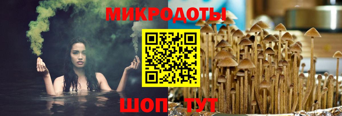 Псилоцибиновые грибы ЛСД  Псилоцибиновые грибы Psilocybe  Златоуст  как найти закладки  Вход с VPN 